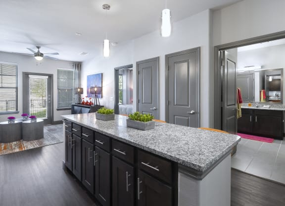 a kitchen with a granite counter top in front of a living room at North Creek, Hutto, TX