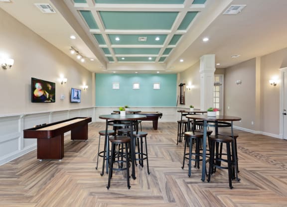 Community Game Room  at Stone Oak @ Parmer, Austin, TX