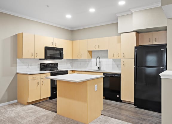 kitchens with quartz countertops and black appliances at Artisan Apartments & Shops, Austin