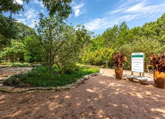 Courtyard at Sonterra Apartment Homes, Texas