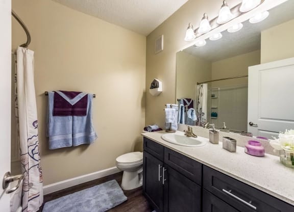 Luxurious Bathroom at The Oasis at 301 Luxury Apartment Homes, Riverview, FL