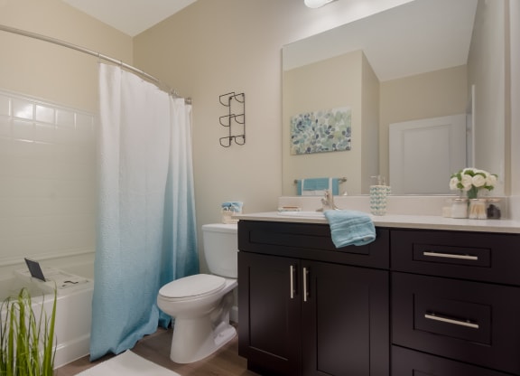 a bathroom with a white toilet next to a bathtub with a blue shower curtain  at The Oasis at Manatee River, Bradenton, FL
