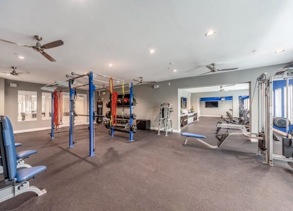 State-Of-The-Art Fitness Center at The Oasis at 301 Luxury Apartment Homes, Florida, 33578