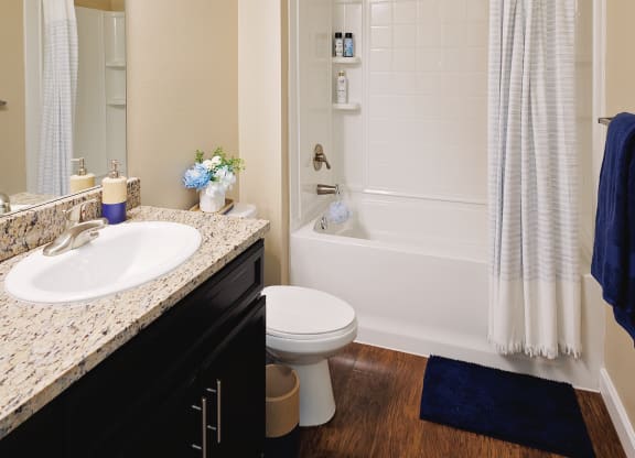 Modern Bathroom at The Oasis at Moss Park, Orlando, FL, 32832