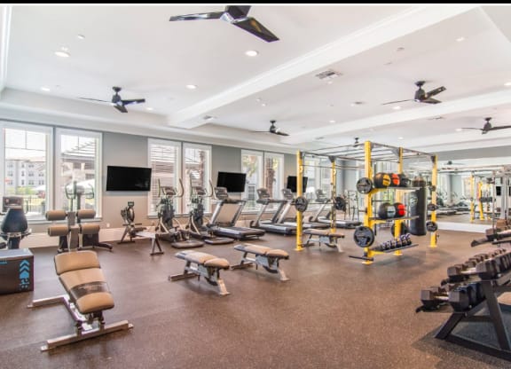 Fitness Center at The Oasis at Town Center, Jacksonville, FL