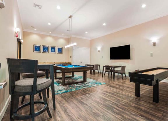 Game Room at The Oasis at Brandon, Florida