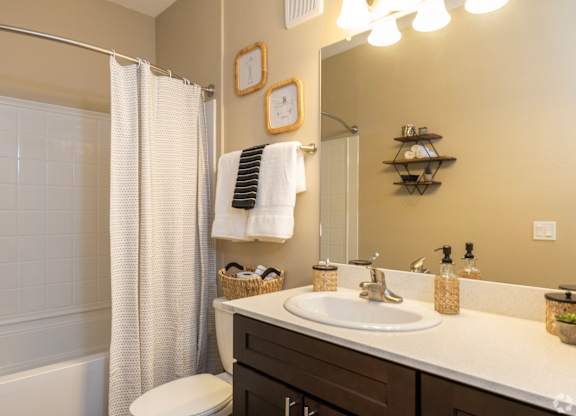 Bathroom With Vanity Lights at The Oasis at Highwoods Preserve, Tampa, 33647