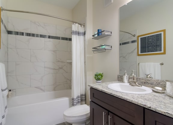a bathroom with a sink and a toilet and a shower at The Oasis at Town Center, FL
