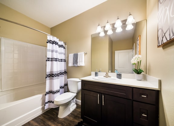 a bathroom with a sink toilet and a bath tub at The Oasis at Highwoods Preserve, Tampa