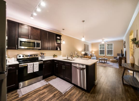a kitchen and living room with dark wood cabinets and stainless steel appliances at The Oasis at Highwoods Preserve, Tampa
