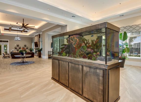 Clubhouse Fish Tank at The Oasis at Cypress Woods, Florida, 33966