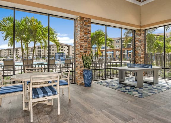 Ping Pong Table at The Oasis at Cypress Woods, Florida