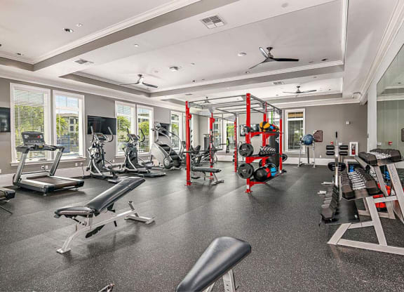 Fitness Center at The Oasis at Cypress Woods, Florida