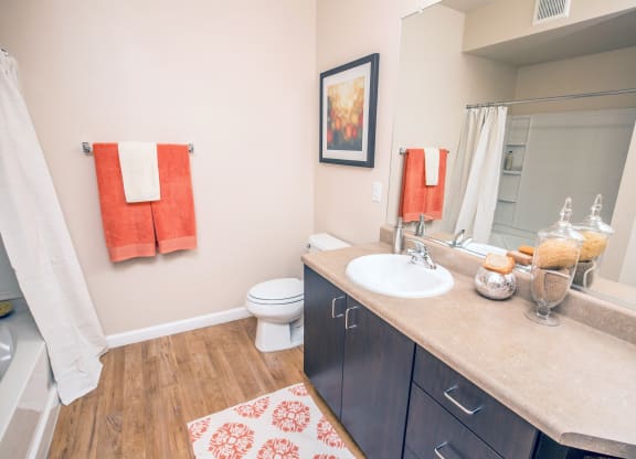a bathroom with a sink and a toilet and a shower at Loreto & Palacio Apartments, Nevada 89149