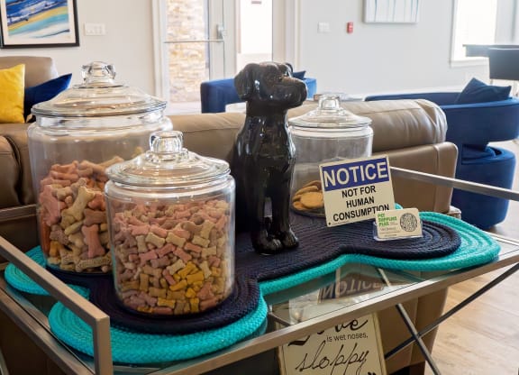 a display of dog food on a table in a living room at The Oasis at Moss Park, Florida
