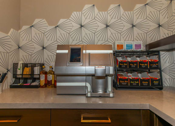 Kitchen appliances 1 at Level 25 at Cactus by Picerne, Las Vegas, Nevada