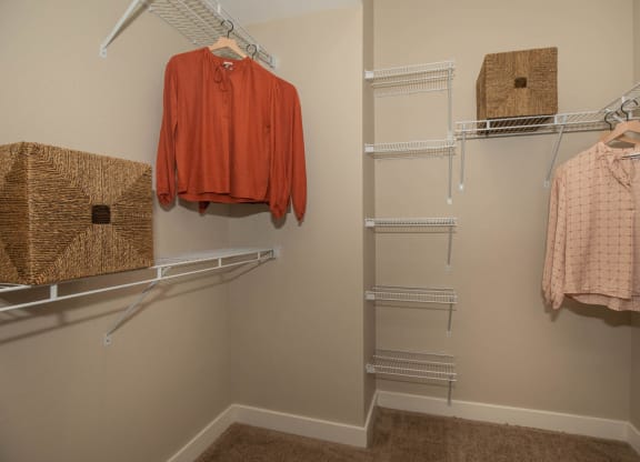 Closet at Level 25 at Cactus by Picerne, Nevada, 89141