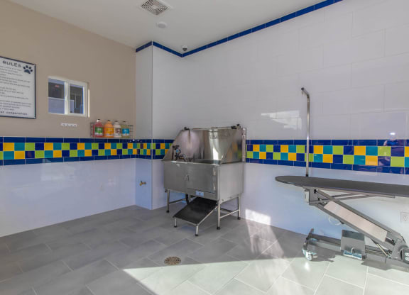 Dog bath at Level 25 at Cactus by Picerne, Las Vegas
