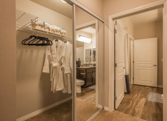 Closet walkin at Level 25 at Oquendo by Picerne, Nevada