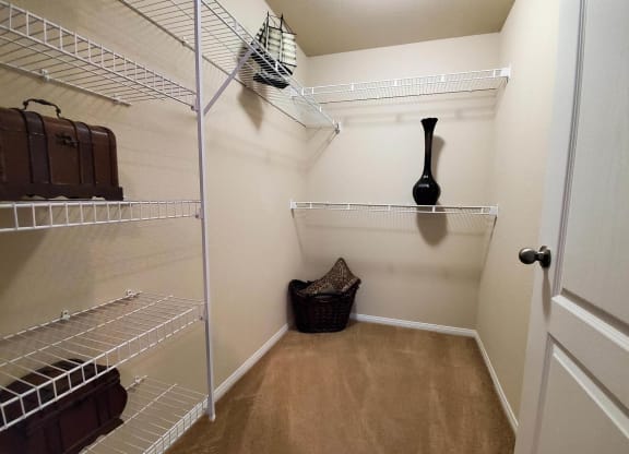 Large Closet at The Paramount by Picerne, Las Vegas, NV