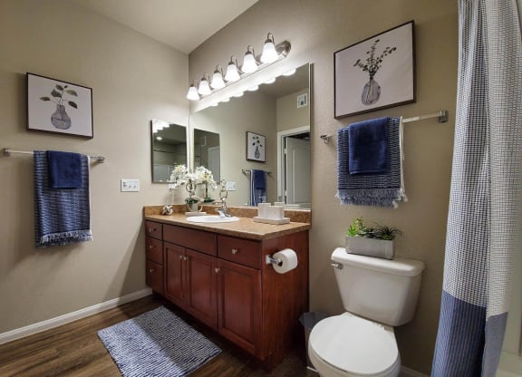 Bathroom With Vanity Lights at The Paramount by Picerne, Las Vegas, NV, 89123