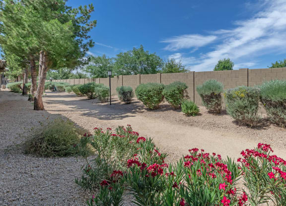 Garden at The Paseo by Picerne, Goodyear, AZ