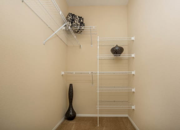 Large Closets at The Passage Apartments by Picerne, Nevada, 89014
