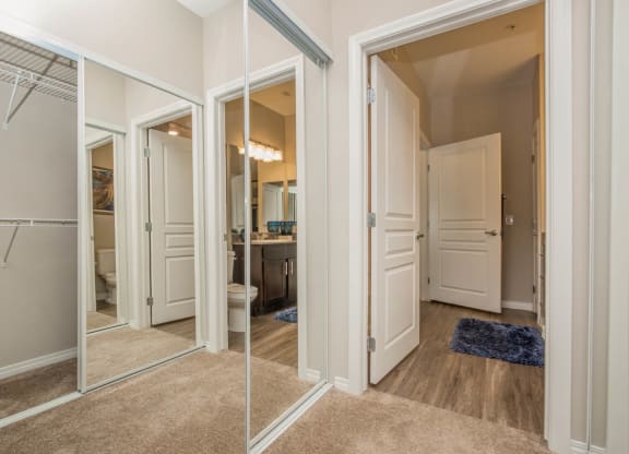 Closets at The Passage Apartments by Picerne, Nevada