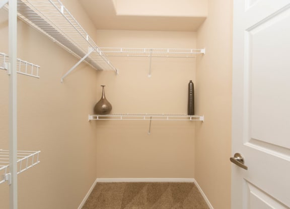 Large Closet at The Pavilions by Picerne, Las Vegas, 89166
