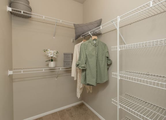 Closet at The Pavilions by Picerne, Las Vegas, NV, 89166