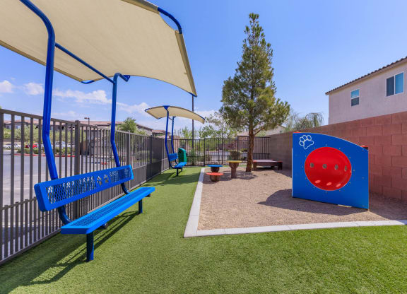 Dog Park With Agility Equipment's at The Preserve by Picerne, Nevada