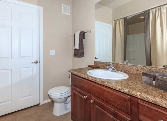 Luxurious Bathroom at The Preserve by Picerne, N Las Vegas, Nevada