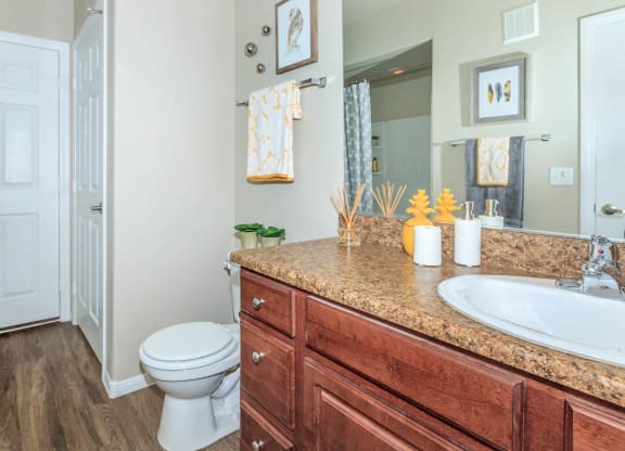 Custom Look Bathroom at The Preserve by Picerne, Nevada, 89086
