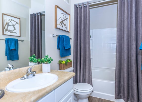 Bathroom With Bathtub at The Presidio by Picerne, Nevada