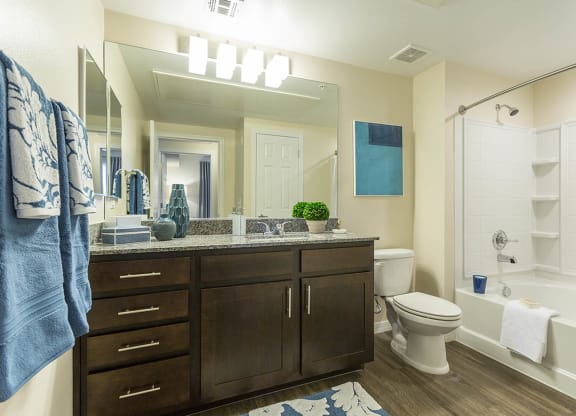 Bath at The View at Horizon Ridge, Henderson