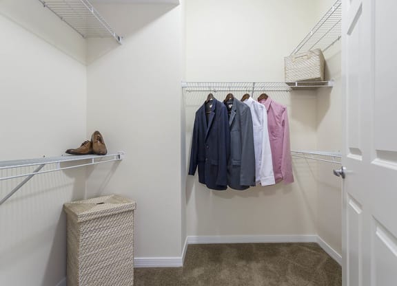 closet at The View at Horizon Ridge, Henderson, NV, 89012