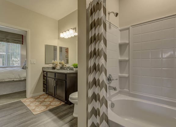 Bath tub at The View at Horizon Ridge, Nevada, 89012