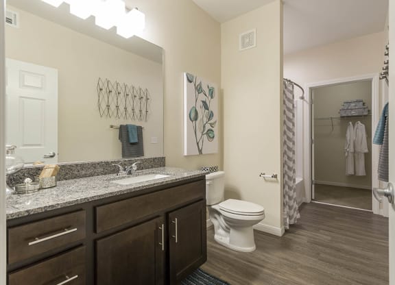 Bath at The View at Horizon Ridge, Henderson