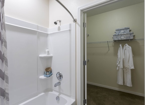 walk in closet space at The View at Horizon Ridge, Nevada, 89012