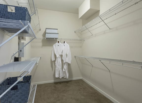 walk in closet  at The View at Horizon Ridge, Henderson
