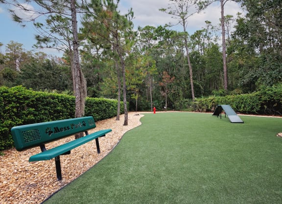 Dog Park at The Oasis at Moss Park, Orlando, 32832