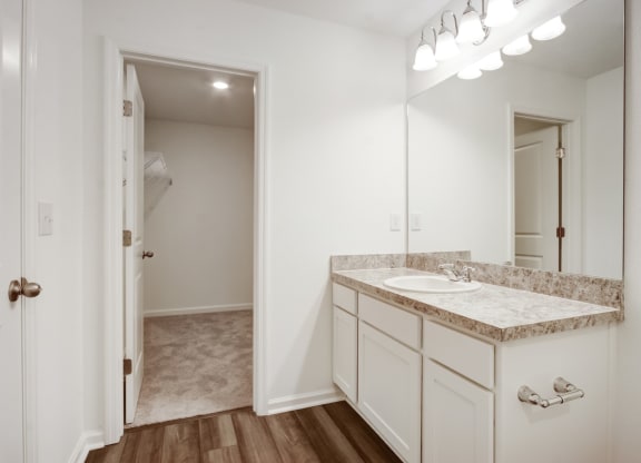 Elegant bathroom with attached closet in master bedroom at Beacon at Arbours in Ruskin, FL