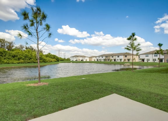 View from yard of the pond area at Beacon at Arbours in Ruskin, FL