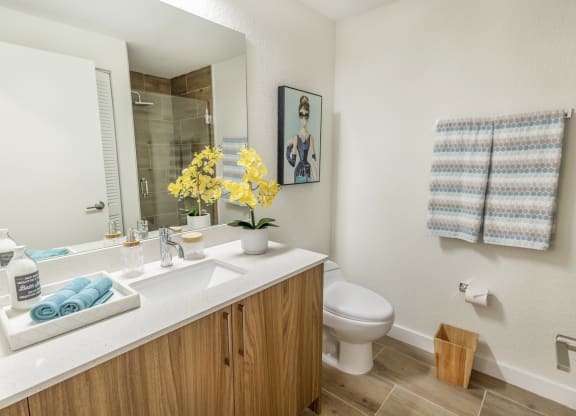 Luxurious Bathrooms at Alameda West, Miami, FL