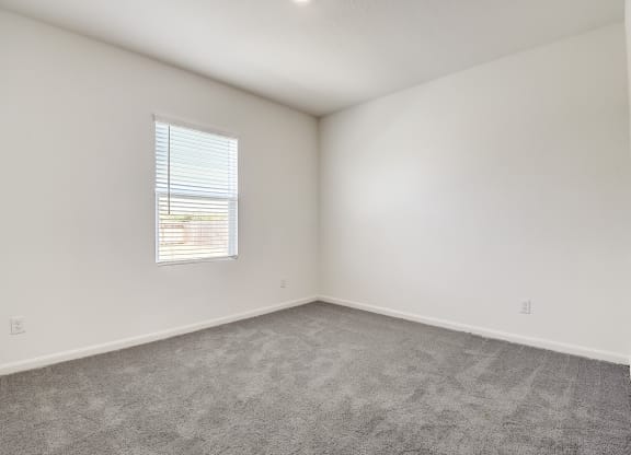 a spacious bedroom with one window, white walls and carpet