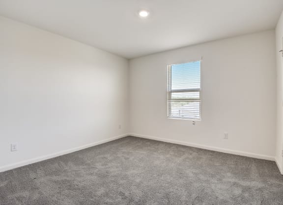 a bedroom with one window, white walls and carpet