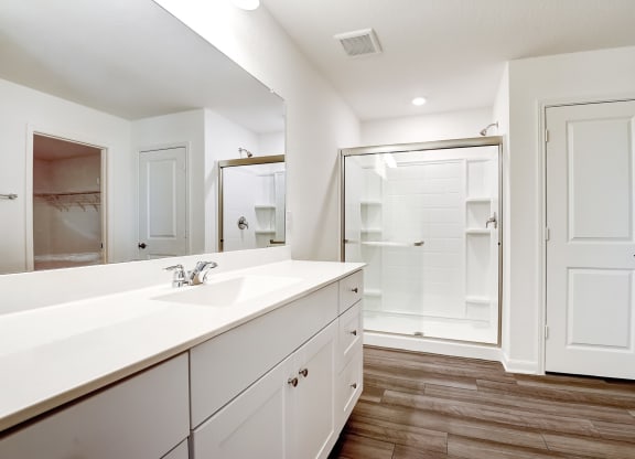 a bathroom with a sink and a shower