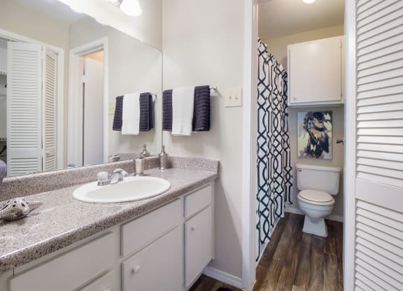 Bathroom at Willow Brook Crossing Apartments in Houston, TX