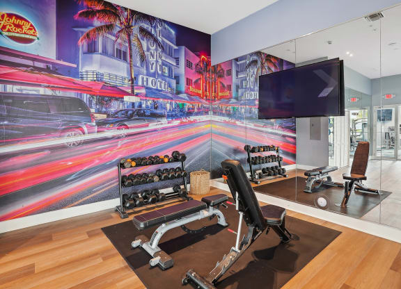 Fitness Center with wall mural at Blue Lagoon 7 in Miami, FL
