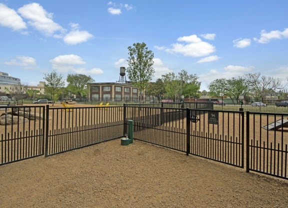 Pet Friendly Community at The Case Building, Texas